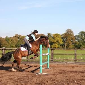 Meet your Posher, Ffion